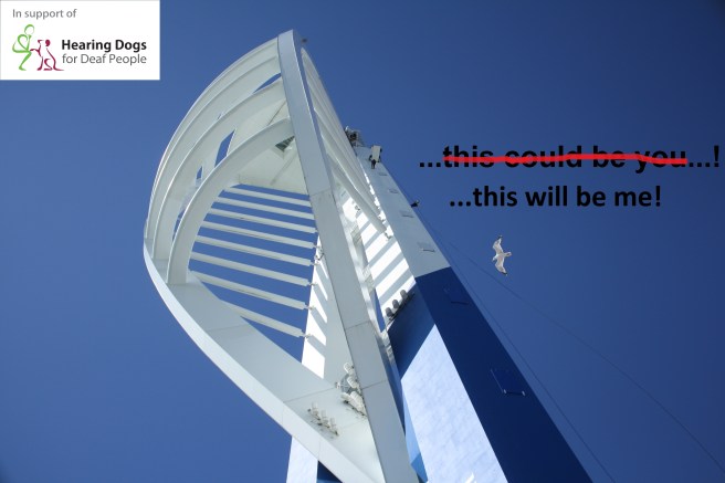 Abseil This Will Be Me!